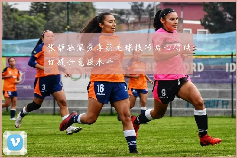 张静独家分享羽毛球技巧与心得助你提升竞技水平