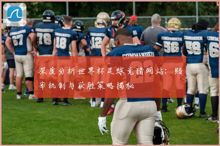 深度分析世界杯足球竞猜网站：赔率机制与获胜策略揭秘