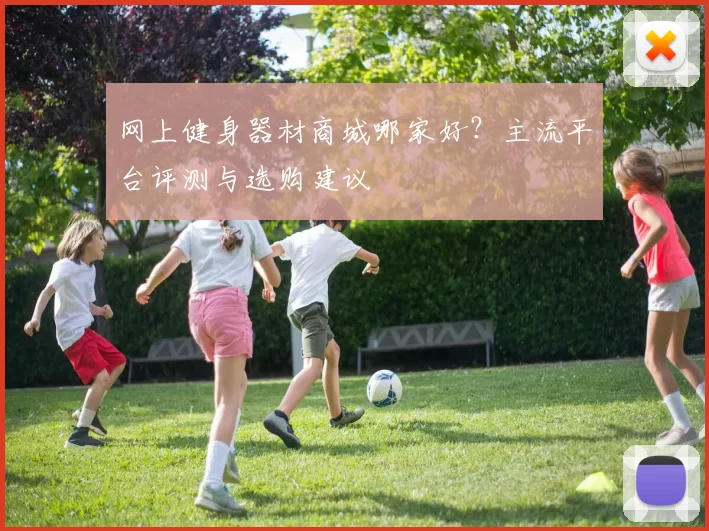 网上健身器材商城哪家好?主流平台评测与选购建议