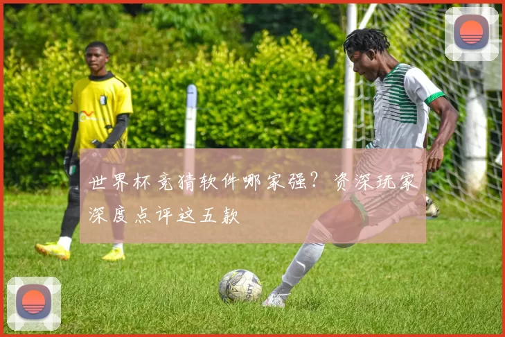 世界杯竞猜软件哪家强？资深玩家深度点评这五款