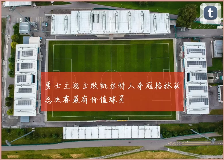 勇士主场击败凯尔特人夺冠格林获总决赛最有价值球员