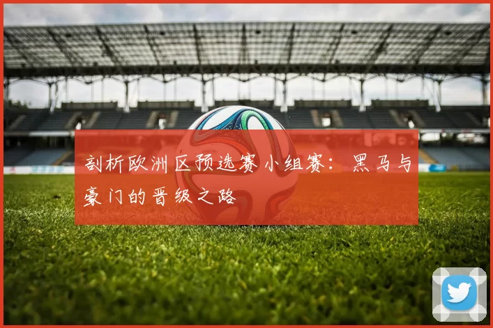 剖析欧洲区预选赛小组赛:黑马与豪门的晋级之路