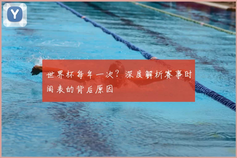 世界杯每年一次？深度解析赛事时间表的背后原因