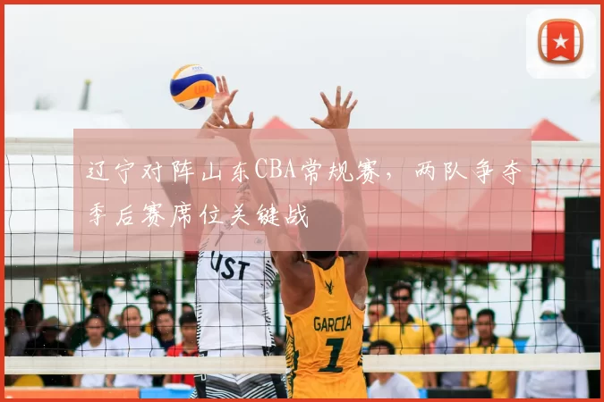 辽宁对阵山东CBA常规赛,两队争夺季后赛席位关键战